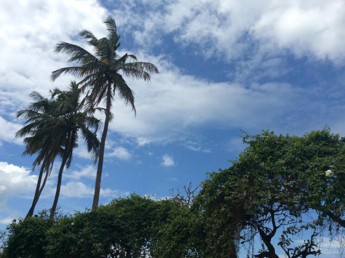 New Rest House Sea View Hotel Negombo Extérieur photo